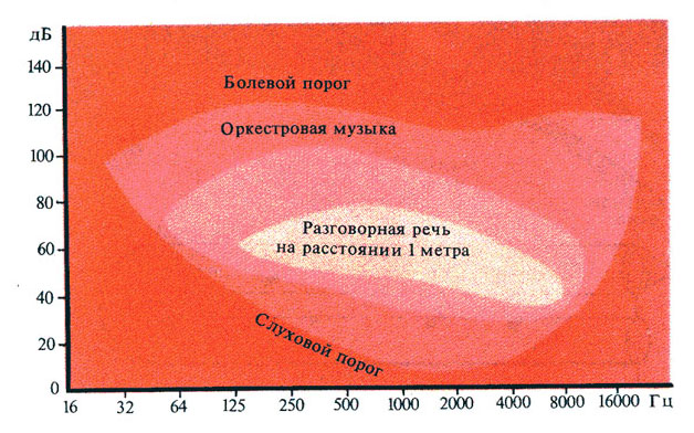 низкий болевой порог. исследование болевого порога. низкий болевой порог. высокий болевой порог у женщин. болевой порог разница.