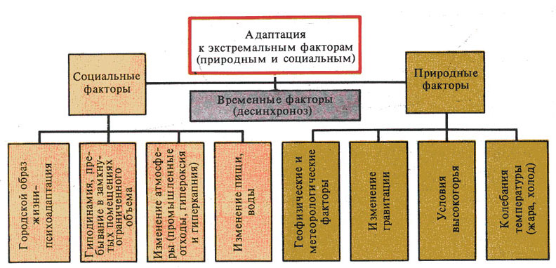 адаптация организмов к условиям окружающей среды. адаптации человека к факторам среды. адаптации человека к факторам среды. адаптация организма человека к факторам среды. адаптация человека это процесс.