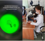  Microsoft PowerPoint